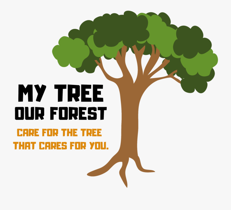 Vector Png Tree Graphic, Transparent Clipart