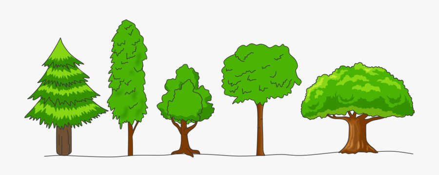 Clip Art Forests, Transparent Clipart