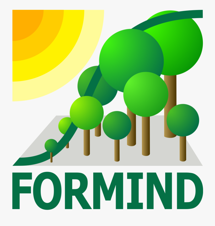 Clipart Forest Forestry - Florida State Symbols Meme, Transparent Clipart