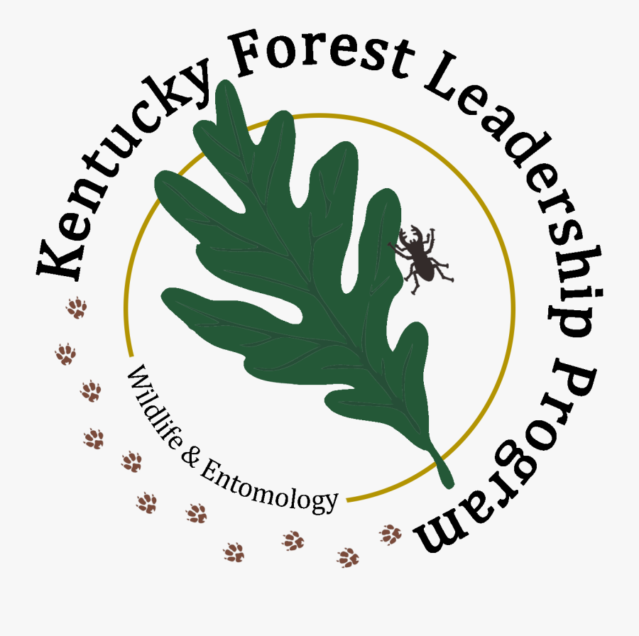 Logo - Arkansas Federal Credit Union, Transparent Clipart