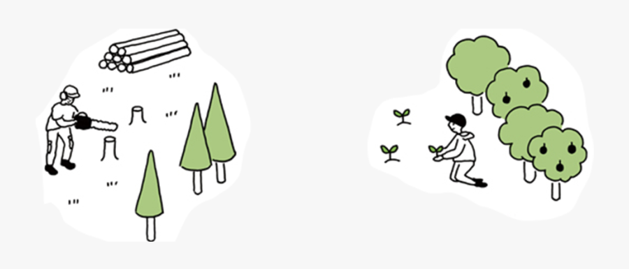 Cartoon, Transparent Clipart