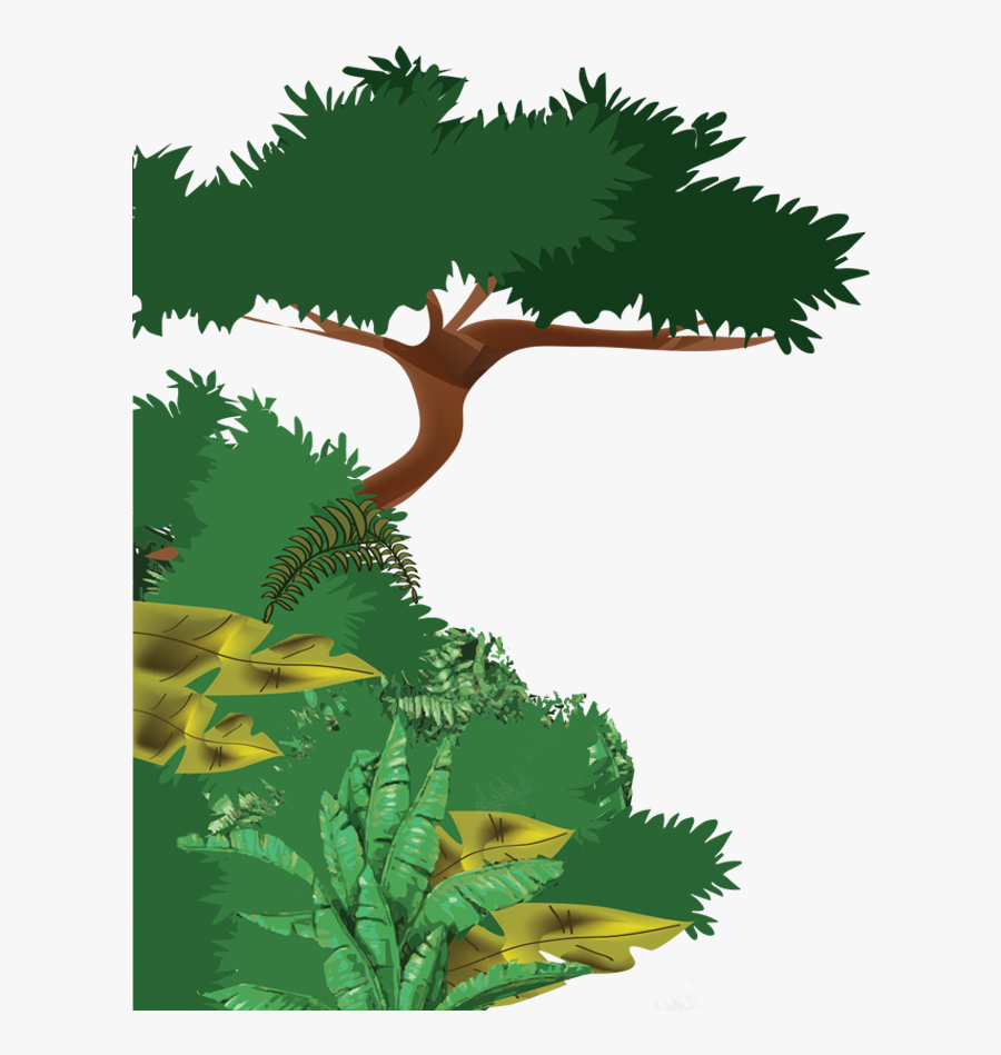 Rainforest Tree Clip Art, Transparent Clipart