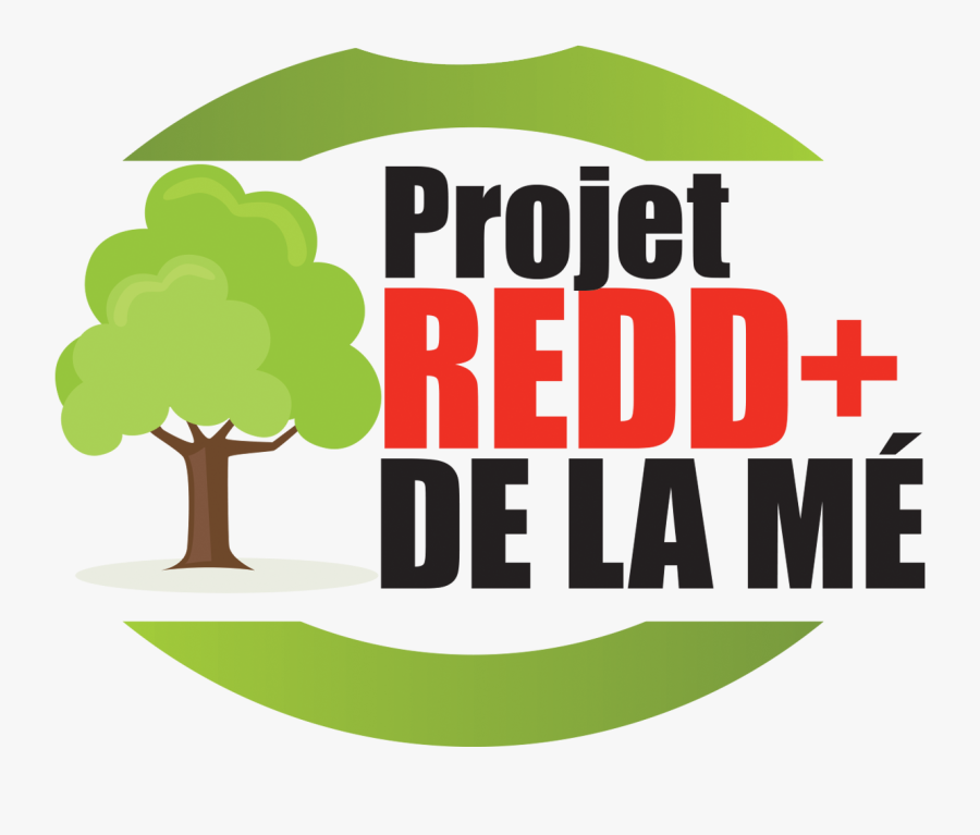 Tree, Transparent Clipart