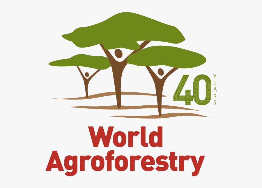 Home - World Kidney Day 2012, Transparent Clipart