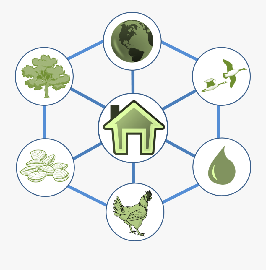 8 O Clock Time, Transparent Clipart