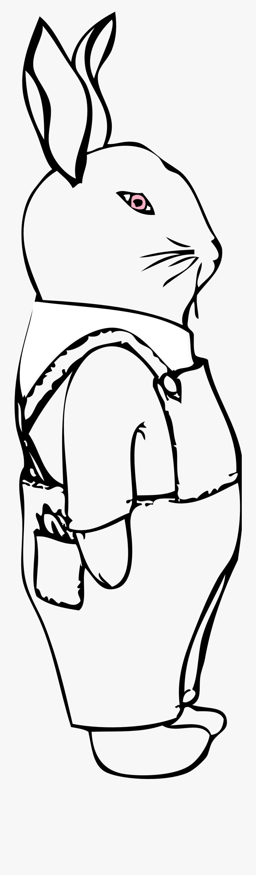 Coloring Book, Transparent Clipart