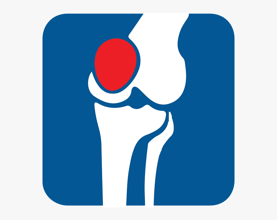 Knee Anatomy & Examination, Transparent Clipart