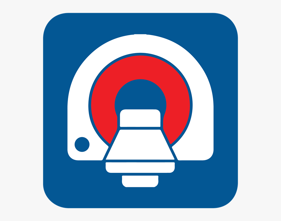 Knee Anatomy & Examination, Transparent Clipart