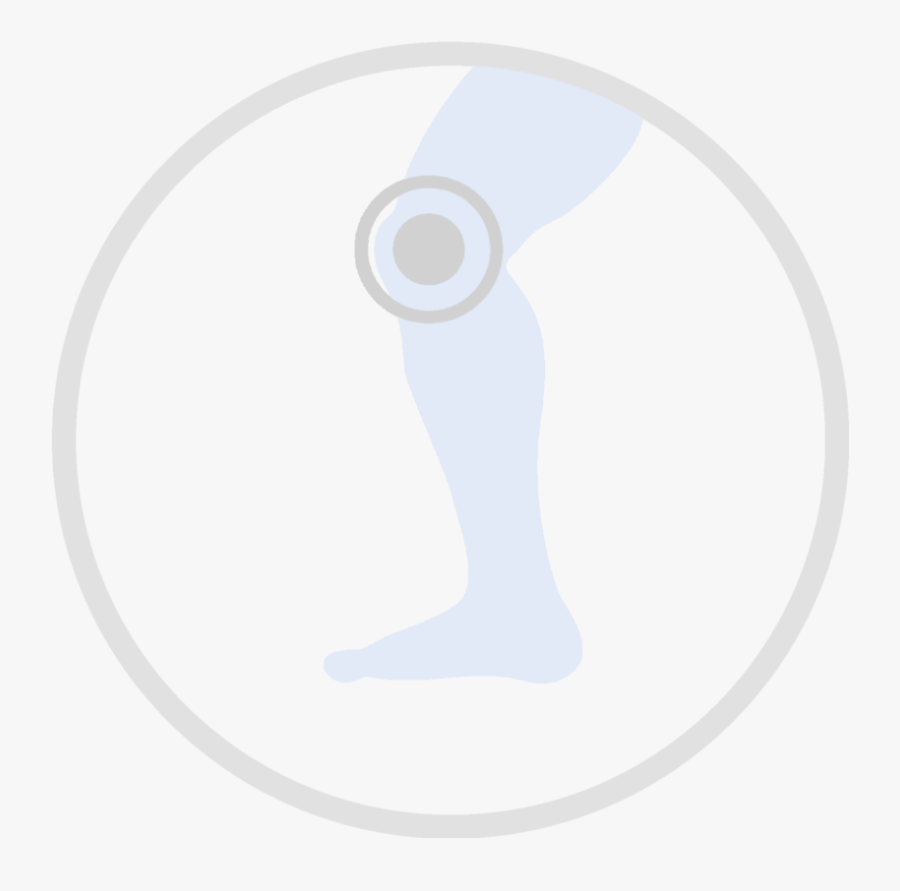 Circle, Transparent Clipart