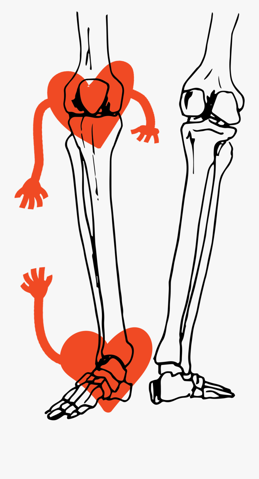 Illustration, Transparent Clipart