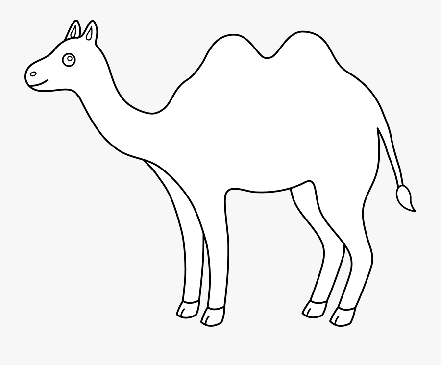 Camel - Clipart - Clip Art, Transparent Clipart