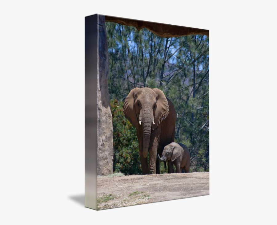Clip Art Mother And By Robincowles - Indian Elephant, Transparent Clipart