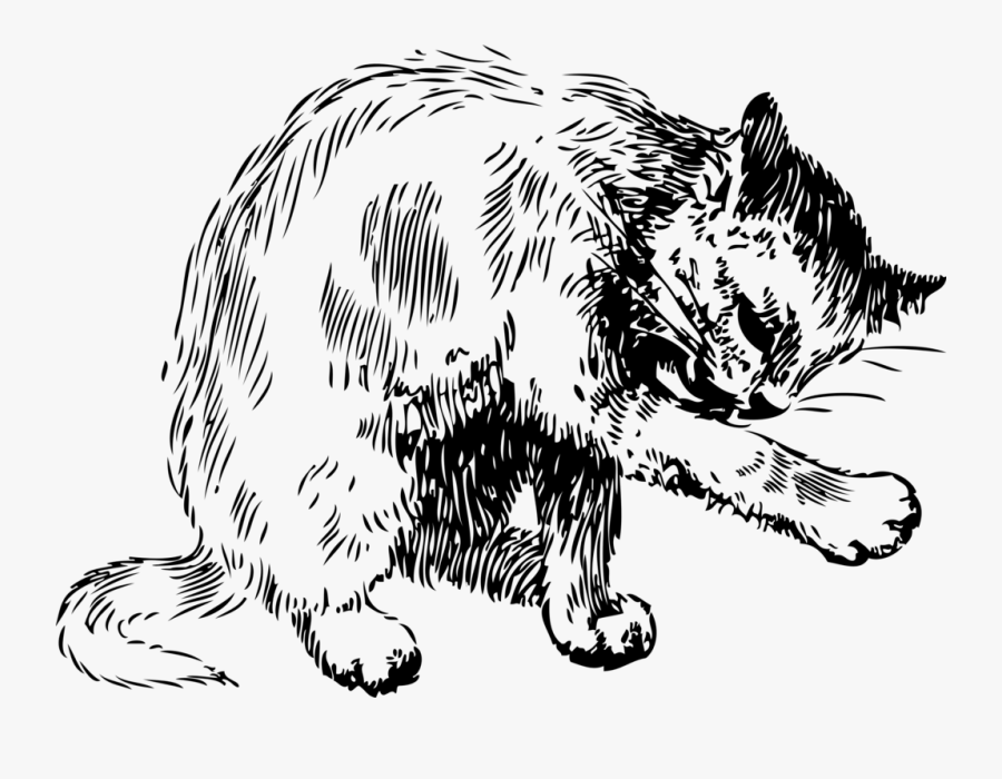 Art,monochrome Photography,carnivoran - Cat Washing Itself Clipart, Transparent Clipart