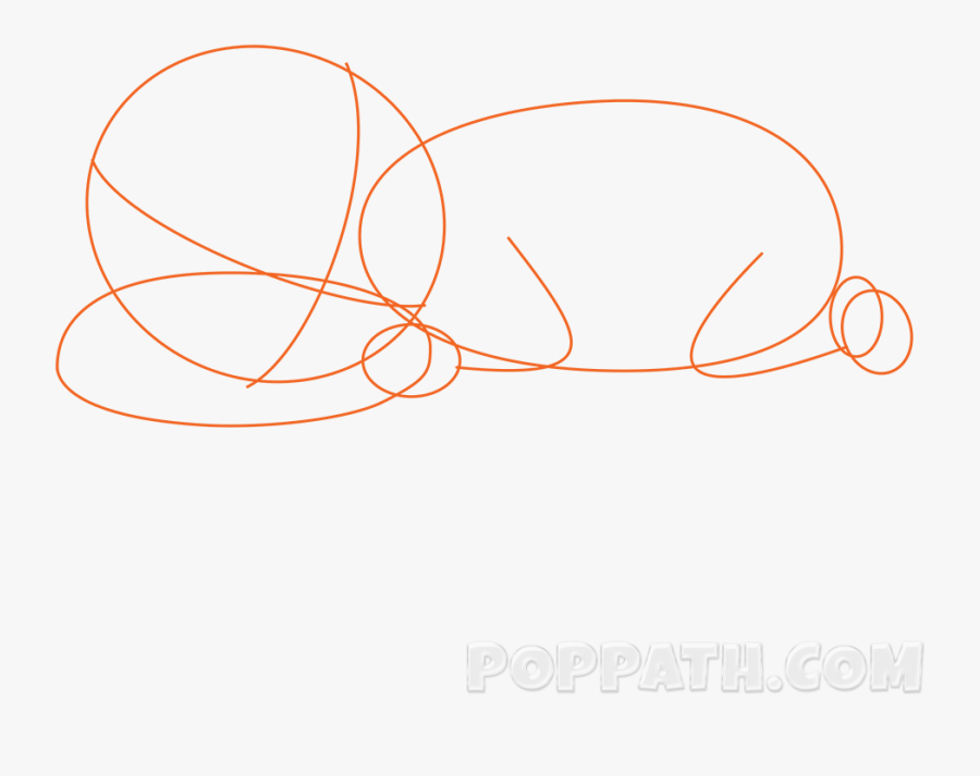 Circle, Transparent Clipart