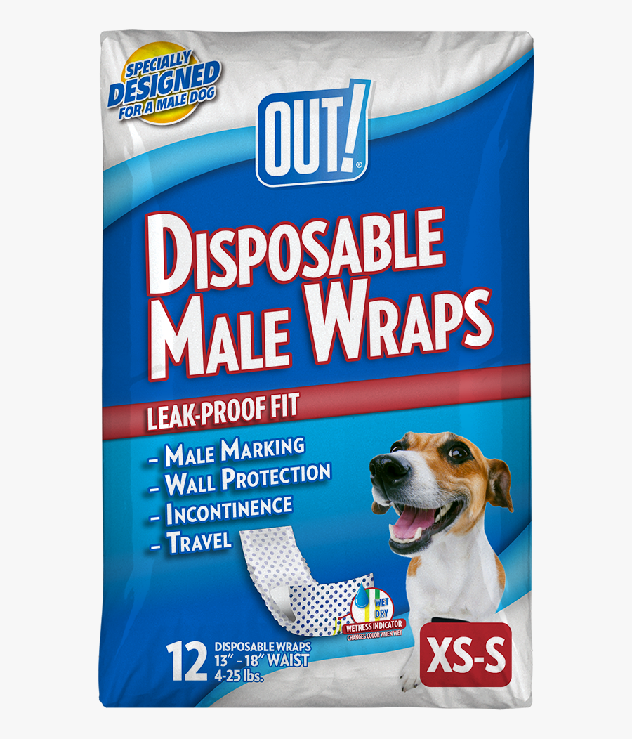 Dog Catches Something, Transparent Clipart