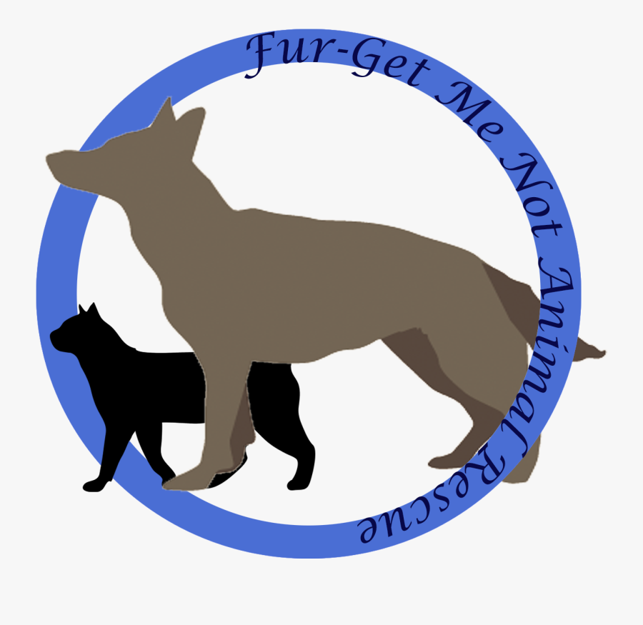 Dog Catches Something, Transparent Clipart