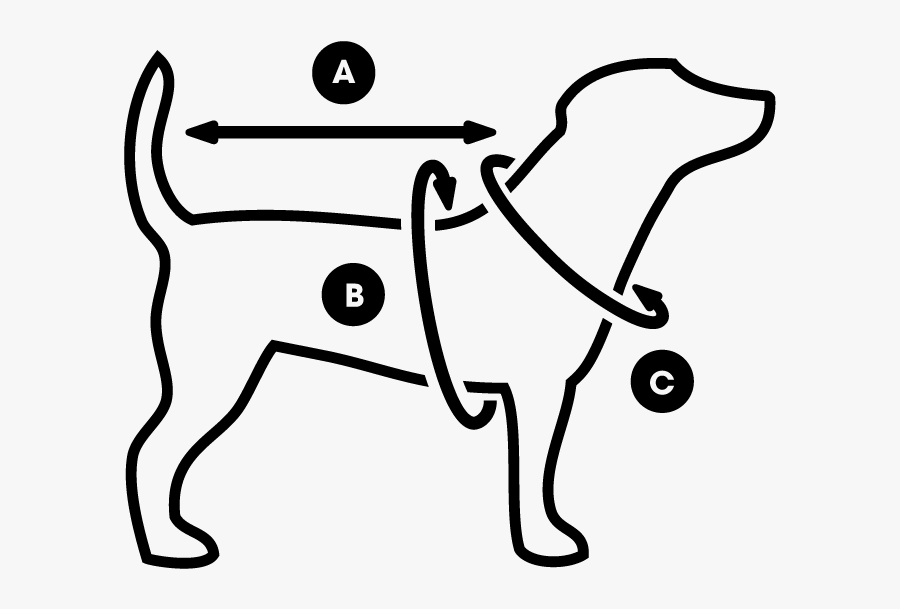 Trespaws Jackets Size Guide - Companion Dog, Transparent Clipart