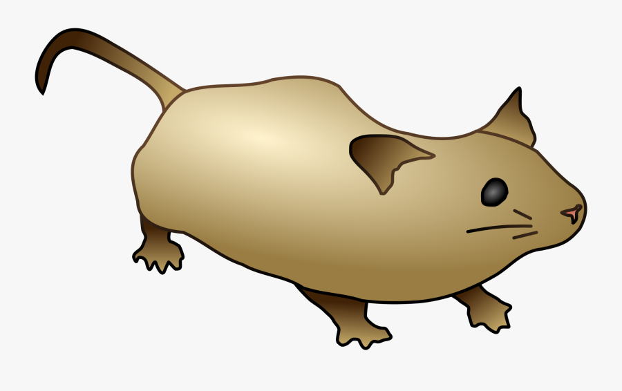 Wikimedia Commons Mouse, Transparent Clipart
