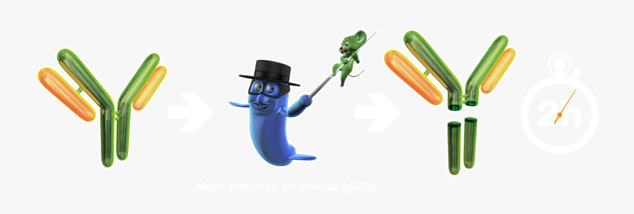 Fabricator Genovis, Transparent Clipart