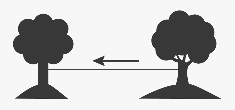 Silhouette, Transparent Clipart