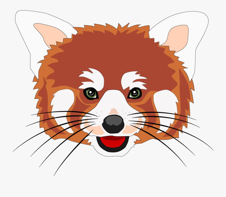 Red Panda Head Drawing , Free Transparent Clipart - ClipartKey