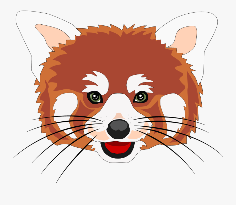 Red Panda Head Drawing, Transparent Clipart