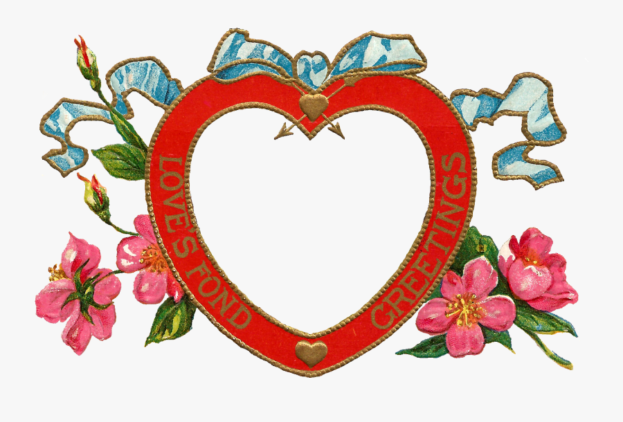 Rose, Transparent Clipart