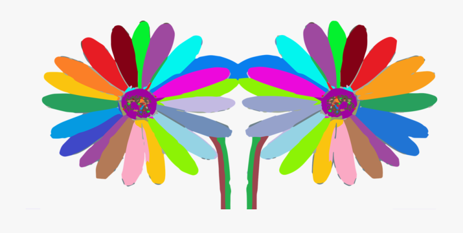 Common Daisy, Transparent Clipart