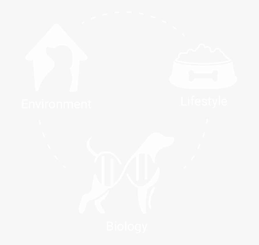 Poster, Transparent Clipart