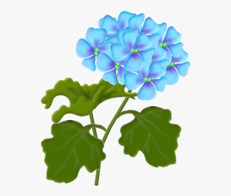 Flôres & Jardim E Etc - Lantana Clipart, Transparent Clipart
