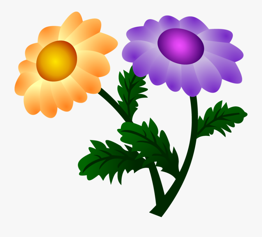Vector Chrysanthemum - Flores Com Duas Cores, Transparent Clipart