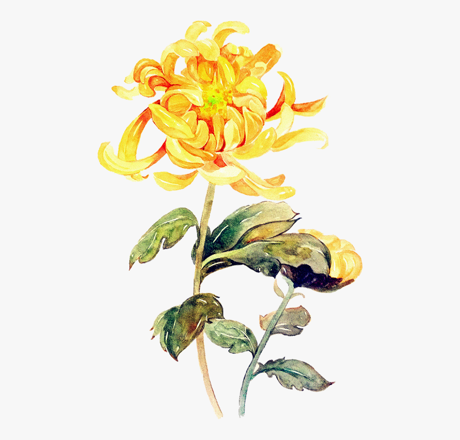 Pineapple Clipart Oil Paint - Watercolor Png Yellow Flowers Png, Transparent Clipart