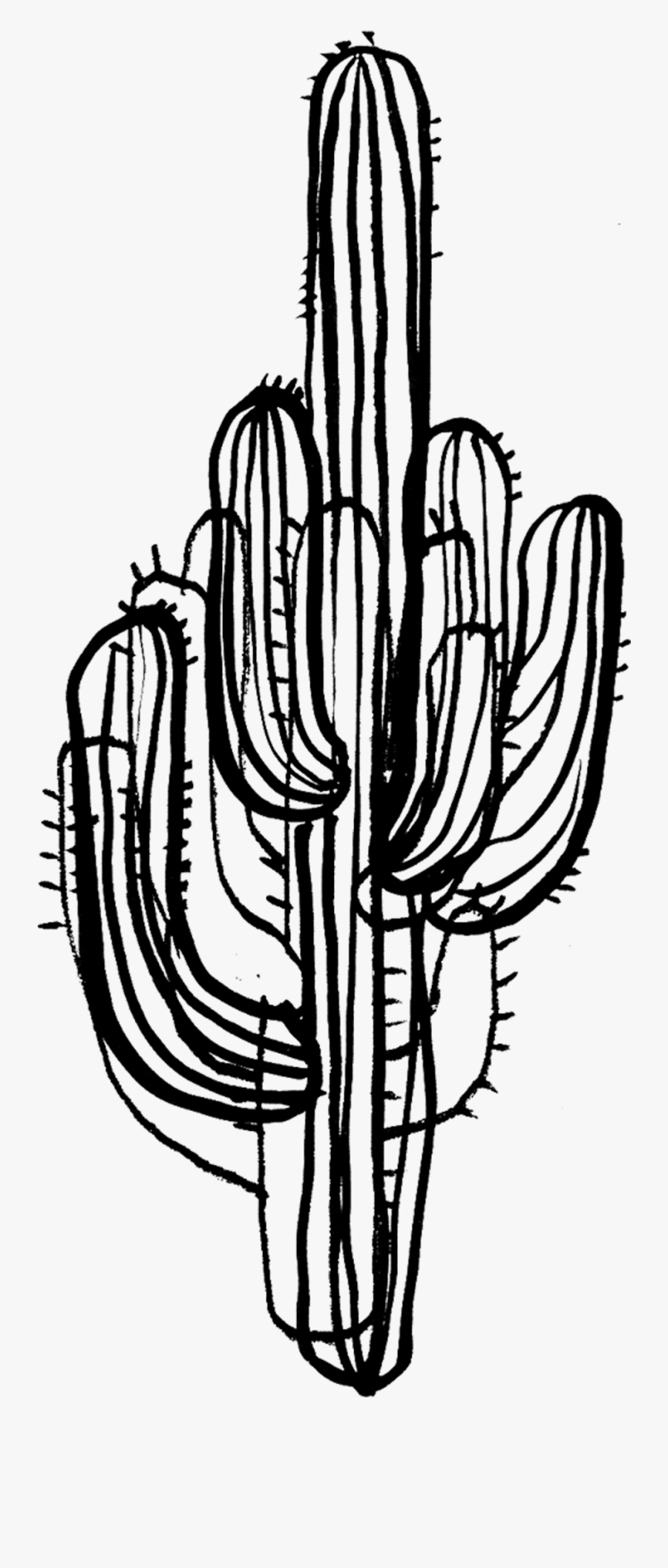 Saguaro Cactus Black And White, free clipart download, png, clipart , c...