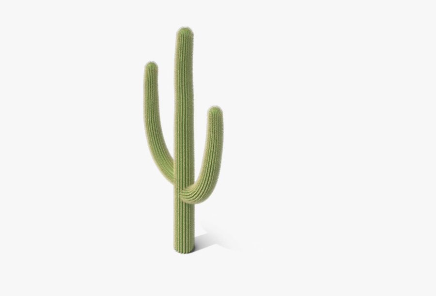 Saguaro Cactus Png Image - Cactus Png, Transparent Clipart
