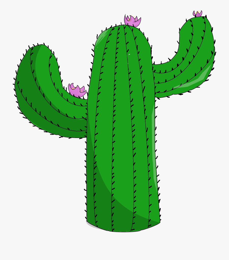 Caryophyllales - Cactus Png, Transparent Clipart