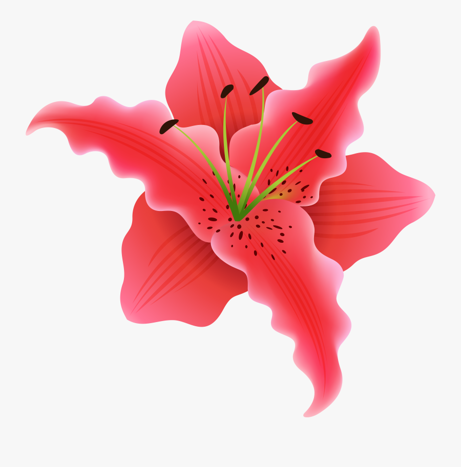 Beautiful Exotic Flower Png Clipart Image - Clip Art, Transparent Clipart