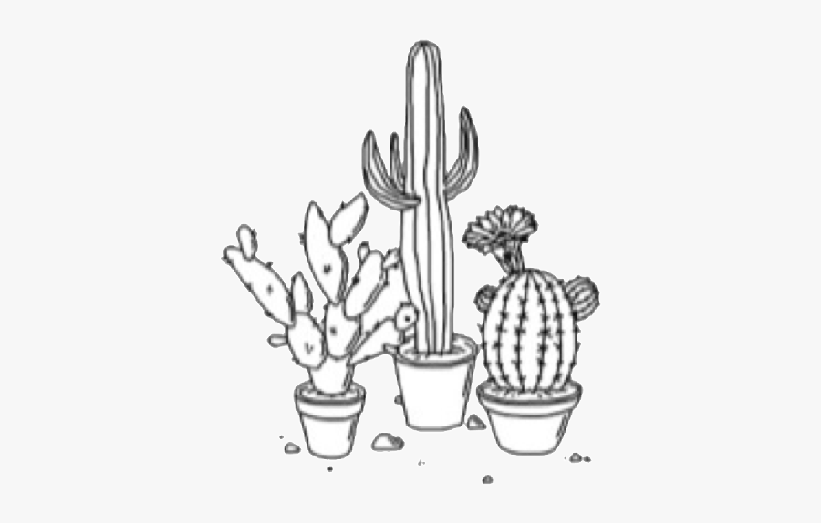 Saguaro - Cactus Blanco Y Negro, Transparent Clipart