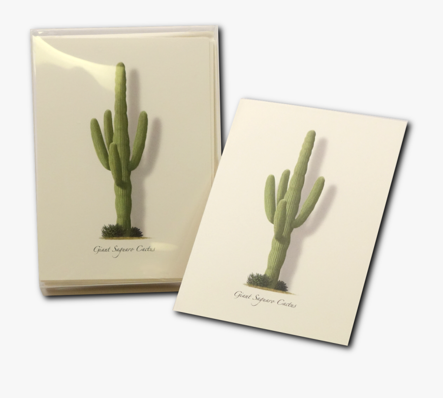 Shopping Cart -  -  - Hedgehog Cactus - San Pedro Cactus, Transparent Clipart