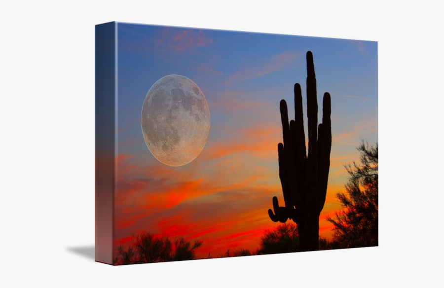 Clip Art Full Moon Saguaro Arizona - Saguaro Full Moon Sunset, Transparent Clipart