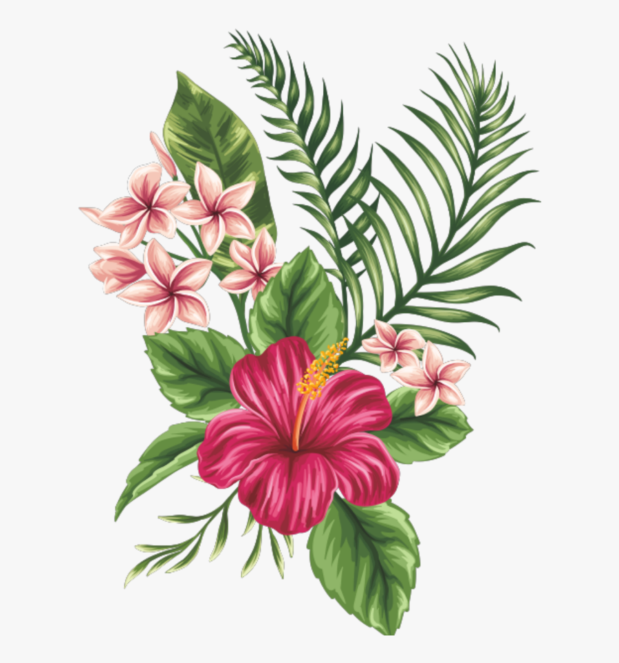 Transparent Ramas Png - Tropical Flowers Drawing, Transparent Clipart