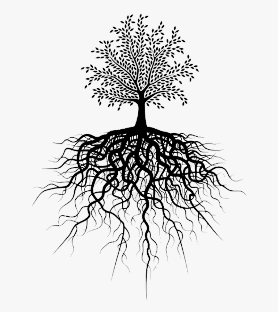 #tree #root - Small Tree Big Roots, Transparent Clipart