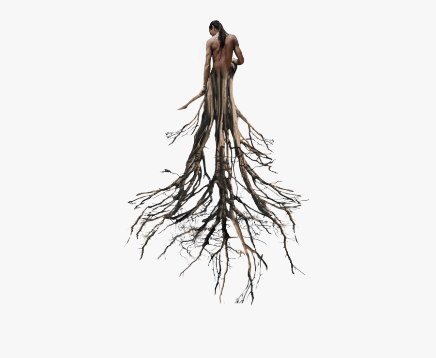 #tree #roots #surreal #man #tumblr #ftestickers - Root Png, Transparent Clipart