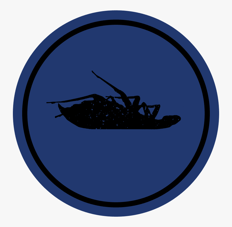 Circle, Transparent Clipart