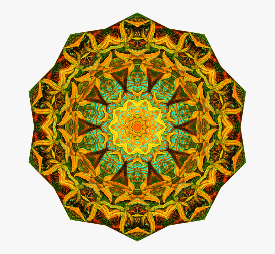 Orange,organism,symmetry - Circle, Transparent Clipart