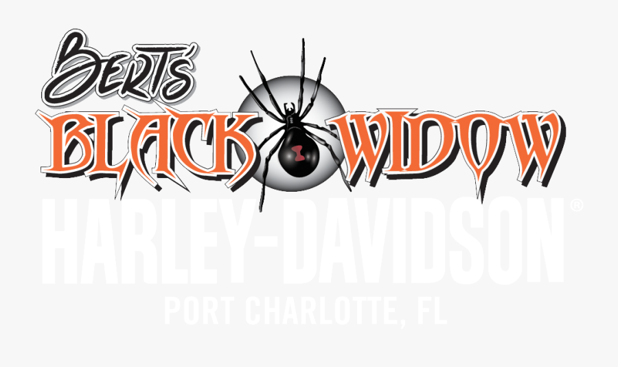 Black Widow Spider, Transparent Clipart