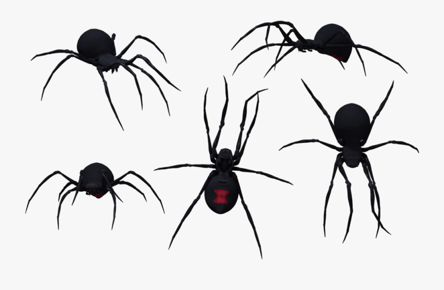 Transparent Black Widow Clipart - Black Widow Spiders Clip Art, Transparent Clipart