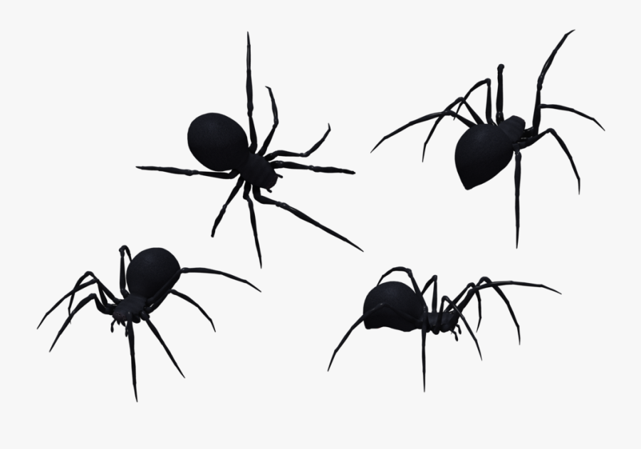 Spider Silhouette Black Widow, Transparent Clipart