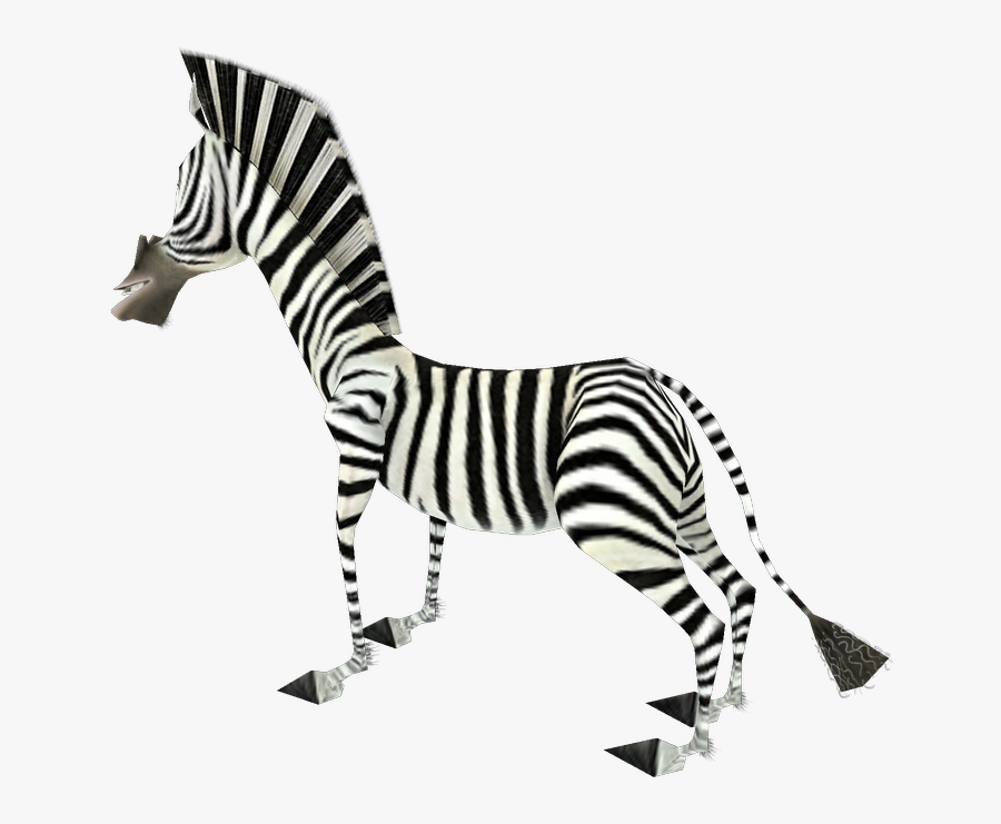 #zebra #jungle #waltdisney #animals #zoo#white#black, Transparent Clipart