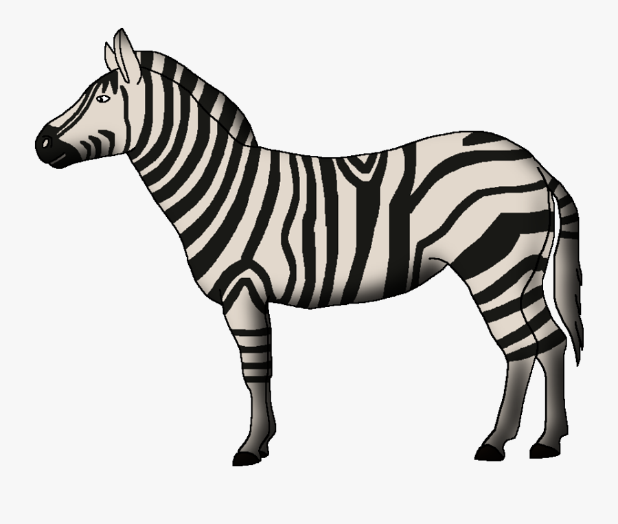 Wildlife Animal Pedia Wiki - Zebra, Transparent Clipart