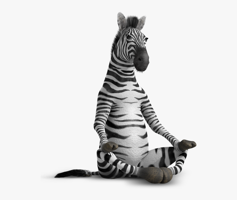 Zebra Zen, Transparent Clipart